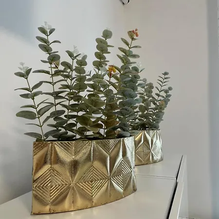 Mama - Metro C Mirti *